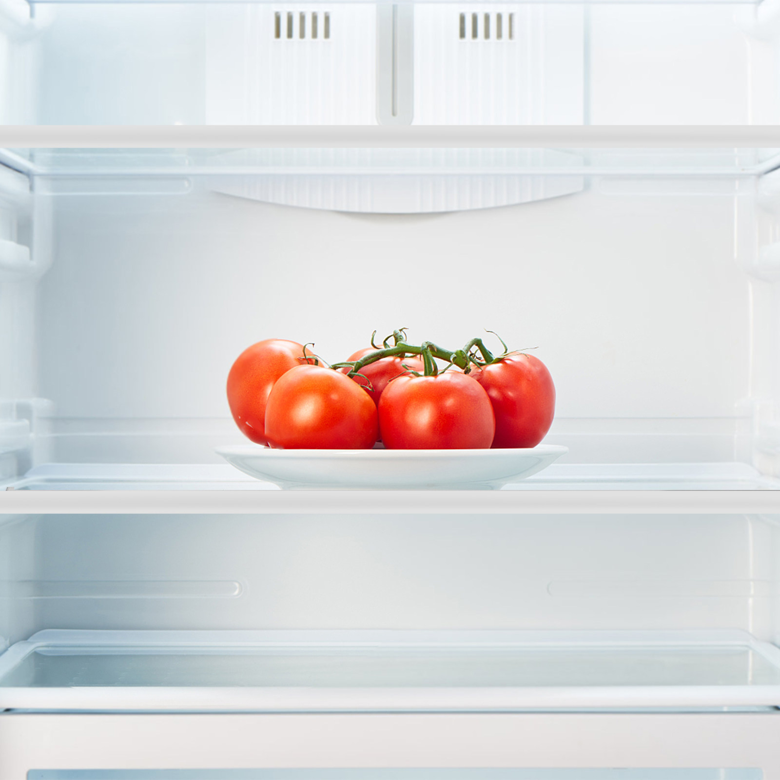 Tempered Glass Fridge Divider  - Food Storage Dividers ulasan dan harga